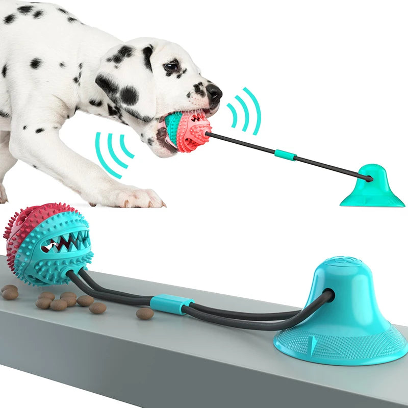 Jouet Interactif de Morsure avec Ventouse pour Chiens