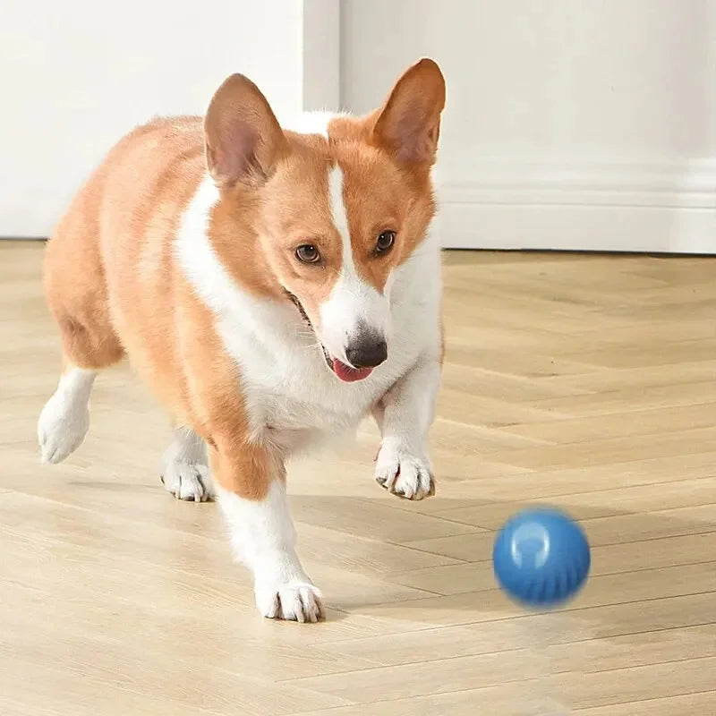 Balle Interactive à Mouvement Automatique pour Chiens