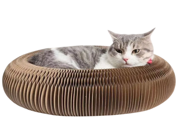 Jouet Interactif Pliable pour Chats