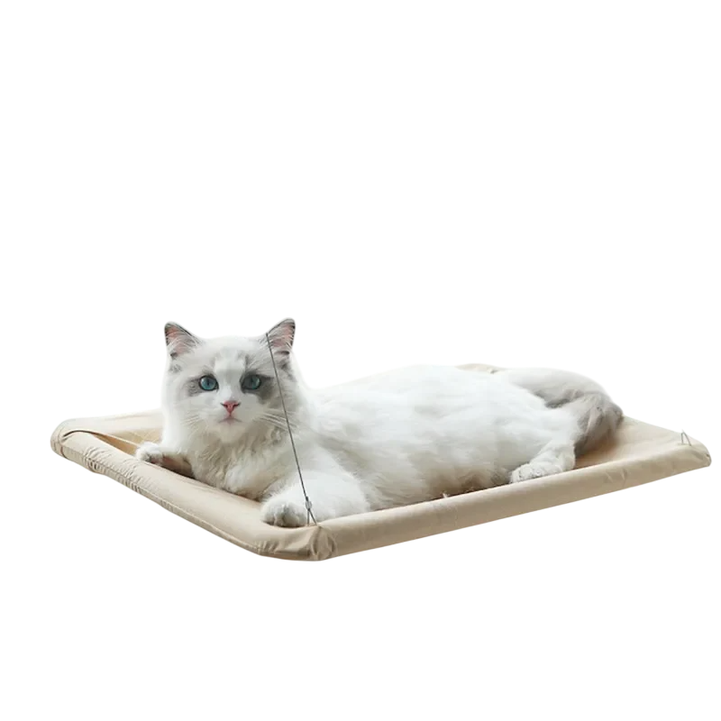 Hamac de Fenêtre pour Chats